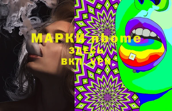 индика Кодинск
