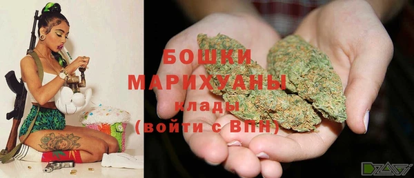индика Кодинск