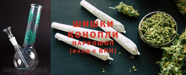 индика Кодинск