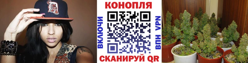 МАРИХУАНА марихуана  Купить где  Светогорск 